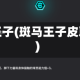 斑马王子(斑马王子皮耶罗)