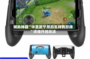 辅助神器“中至武宁双扣怎样有好牌”详细开挂玩法