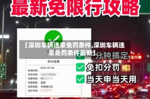 【深圳车辆违章免罚条件,深圳车辆违章免罚条件最新】