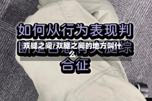 双腿之间/双腿之间的地方叫什么