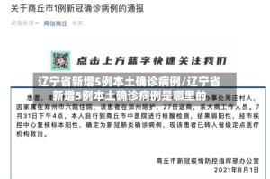 辽宁省新增5例本土确诊病例/辽宁省新增5例本土确诊病例是哪里的