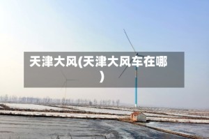 天津大风(天津大风车在哪)