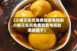 【小楼又东风免费观看电视剧,小楼又东风免费观看电视剧酒酿圆子】