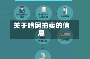 关于暗网拍卖的信息