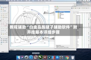 教程辅助“白金岛跑胡子辅助软件”附开挂脚本详细步骤