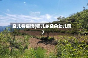 朵儿名猫馆(猫儿乡朵朵幼儿园)