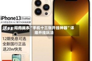 可用版本“手机十三张开挂神器”详细开挂玩法
