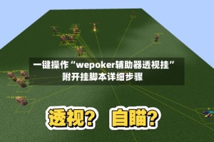 一键操作“wepoker辅助器透视挂”附开挂脚本详细步骤