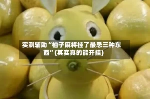 实测辅助“柚子麻将挂了最忌三种东西”(其实真的能开挂)