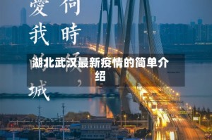 湖北武汉最新疫情的简单介绍
