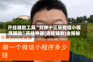 开挂辅助工具“财神十三张微信小程序辅助”开挂神器{透视辅助}全揭秘