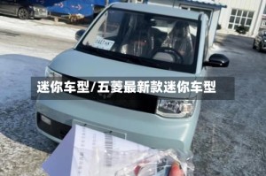 迷你车型/五菱最新款迷你车型