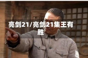 亮剑21/亮剑21集王有胜