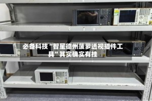 必备科技“智星德州菠萝透视插件工具”其实确实有挂