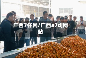 广西7仔网/广西a7dj网站