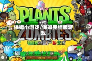 保姆小游戏/保姆完结版游戏