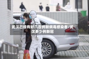 武汉已经有好几百例新病毒感染者/武汉多少例新冠