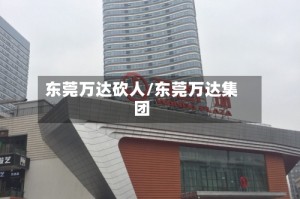 东莞万达砍人/东莞万达集团