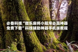 必备科技“微乐麻将小程序必赢神器免费下载”科技辅助神器手机版教程