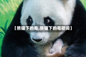 【熊猫下的毒,熊猫下的毒歌词】