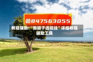 教程辅助!“跑胡子透视挂”详细教程辅助工具