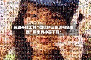 辅助开挂工具“微信拼三张透视免费版”原来有神器下载！