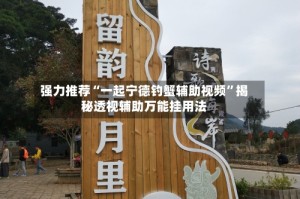 强力推荐“一起宁德钓蟹辅助视频”揭秘透视辅助万能挂用法