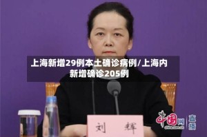 上海新增29例本土确诊病例/上海内新增确诊205例