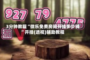 3分钟教程“微乐免费房间开挂多少钱”开挂(透视)辅助教程