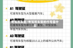 考驾照车型/考驾照车型的代号是什么