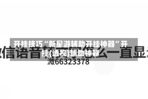 开挂技巧“新星游辅助开挂神器”开挂(透视)辅助神器
