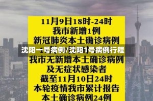 沈阳一号病例/沈阳1号病例行程