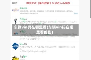 车辆vin码在哪里看(车辆vin码在哪里看的到)