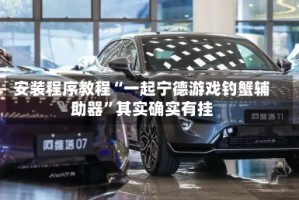安装程序教程“一起宁德游戏钓蟹辅助器”其实确实有挂
