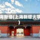 上海新增(上海新增大学)
