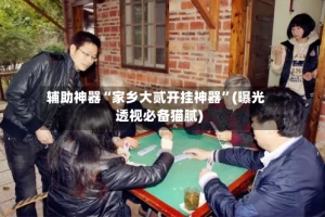 辅助神器“家乡大贰开挂神器”(曝光透视必备猫腻)