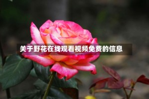 关于野花在线观看视频免费的信息