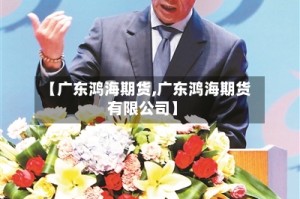 【广东鸿海期货,广东鸿海期货有限公司】