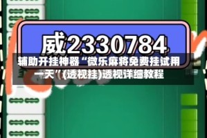 辅助开挂神器“微乐麻将免费挂试用一天”(透视挂)透视详细教程