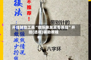 开挂辅助工具“微乐亲友房专用挂”开挂(透视)辅助教程