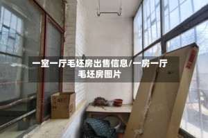一室一厅毛坯房出售信息/一房一厅毛坯房图片