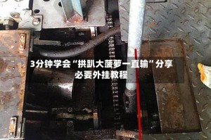 3分钟学会“拱趴大菠萝一直输”分享必要外挂教程