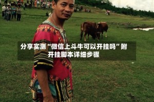 分享实测“微信上斗牛可以开挂吗”附开挂脚本详细步骤