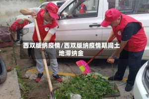 西双版纳疫情/西双版纳疫情期间土地滞纳金