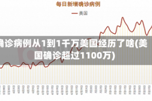 确诊病例从1到1千万美国经历了啥(美国确诊超过1100万)