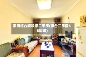 索镇桓台精装修二手房(桓台二手房58同城)