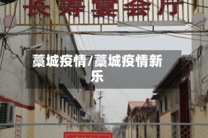 藁城疫情/藁城疫情新乐