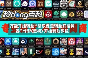 万能开挂辅助“微乐保皇辅助开挂神器”作弊(透视) 开挂辅助教程