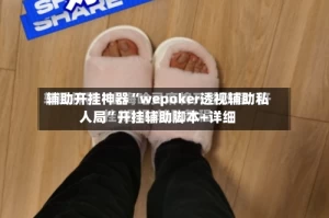 辅助开挂神器“wepoker透视辅助私人局”开挂辅助脚本+详细