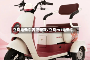 立马电动车麦兜新款/立马m1电动车